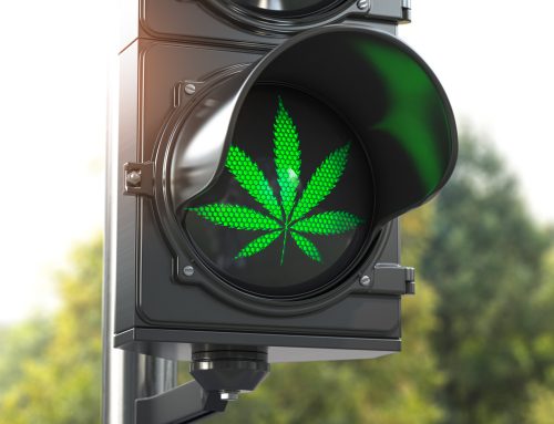 5 Things to Know About Cannabis Laws in Spain