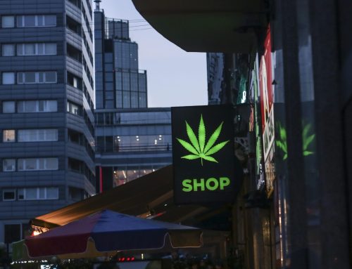 Cannabis Culture in Barcelona: A Local’s Perspective